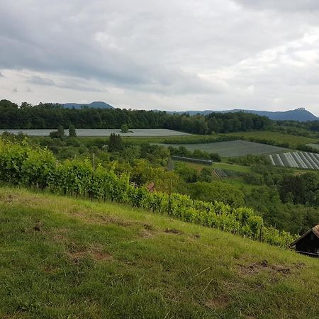 Ferienwohnung Burgblick Im Neuffener Tal Mit Sauna Und Wallbox Frickenhausen  エクステリア 写真