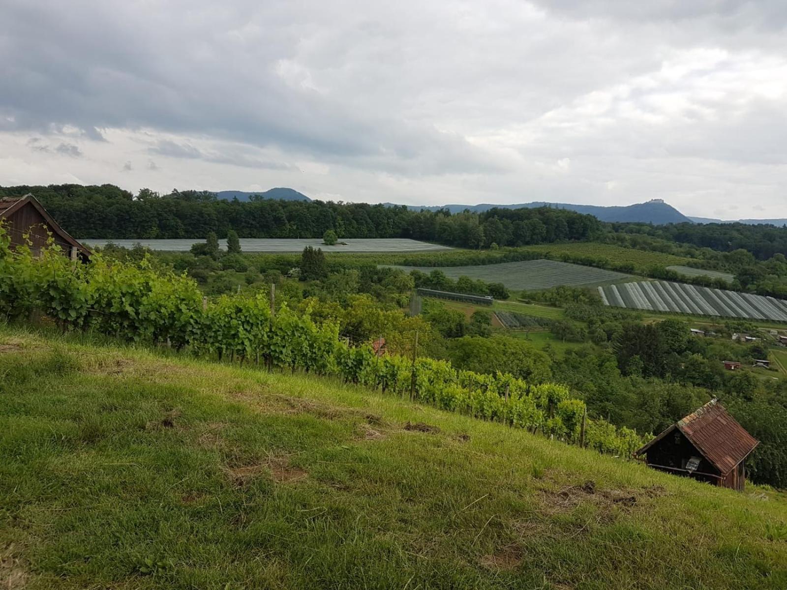 Ferienwohnung Burgblick Im Neuffener Tal Mit Sauna Und Wallbox Frickenhausen  エクステリア 写真
