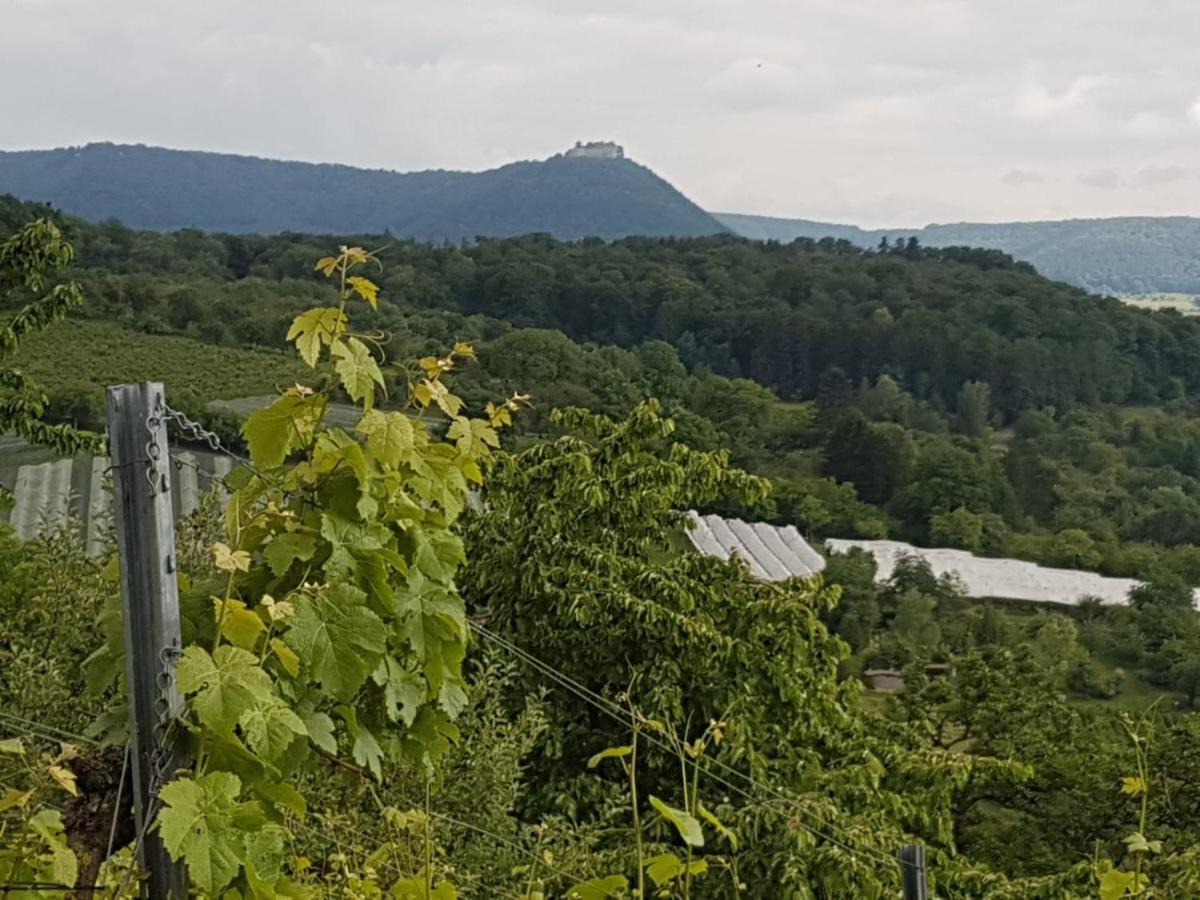 Ferienwohnung Burgblick Im Neuffener Tal Mit Sauna Und Wallbox Frickenhausen  エクステリア 写真
