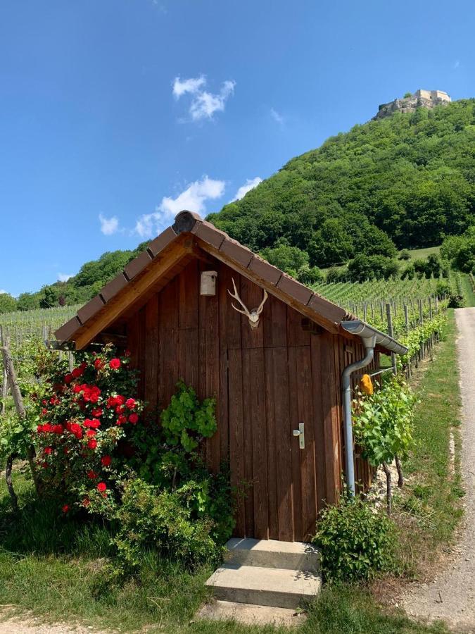 Ferienwohnung Burgblick Im Neuffener Tal Mit Sauna Und Wallbox Frickenhausen  エクステリア 写真