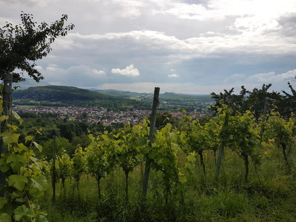 Ferienwohnung Burgblick Im Neuffener Tal Mit Sauna Und Wallbox Frickenhausen  エクステリア 写真